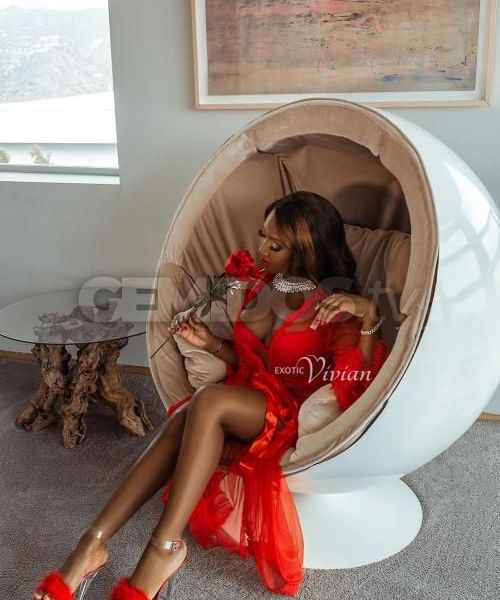 Hello handsome, I'm glad you found my page. I'm looking forward to meeting you and having so much fun together. I'm available to meet in Miami, Broward, or Palm Beach. Longer meetings are preferred as it gives us ample time to get lost in each other. 